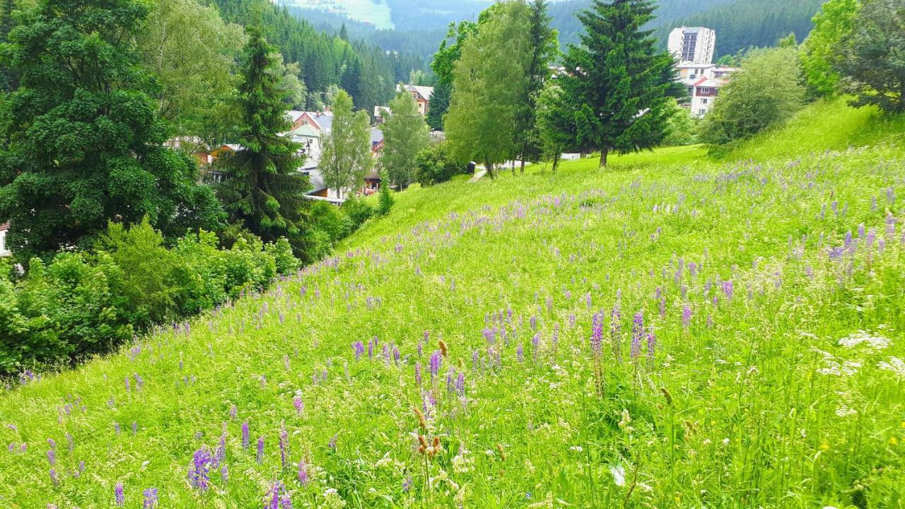 Apartman Liska V Peci - Apartmanovy Dum Horalka, Пец-под-Снежкой Экстерьер фото